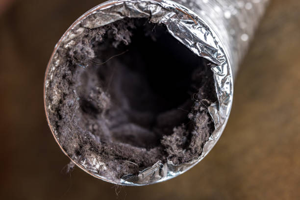 Air Duct Mold Removal in OH