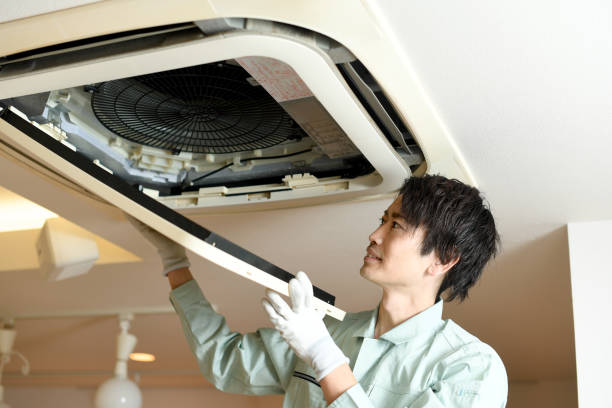 Best Ductwork Cleaning Services  in West Jefferson, OH