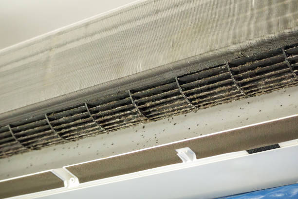 Best Air Duct Cleaning Near Me  in West Jefferson, OH