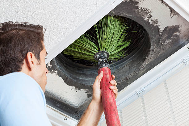 Best Air Vent Cleaning Services  in West Jefferson, OH